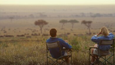 One-Day Travel Insurance: Flexible Coverage For Short Trips