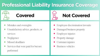 Professional Liability Insurance For Consultants Explained: Understanding Coverage, Costs, And Claims