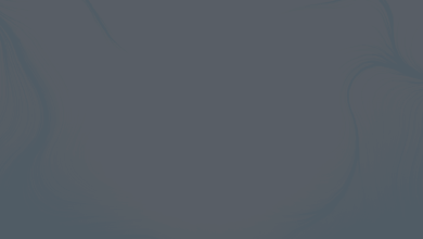 Local Agent Or Online Broker: Which Insurance Option Wins?