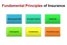 What Does A Standard Insurance Policy Cover? Understanding The Basics