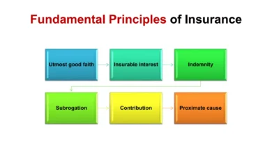 What Does A Standard Insurance Policy Cover? Understanding The Basics